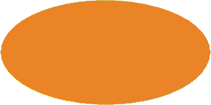 Sticker  4.0 x  4.0 Round with Orange Disc