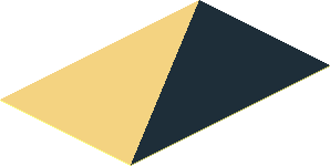 Sticker  2.9 x  1.9 with Black and Chrome Gold Triangles