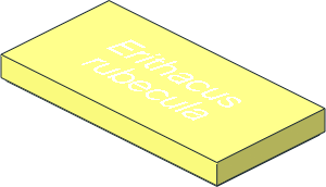 Tile  2 x  4 with "Erithacus rubecula" Pattern