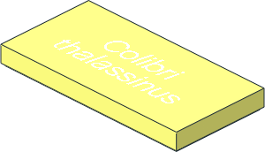 Tile  2 x  4 with "Colibri thalassinus" Pattern