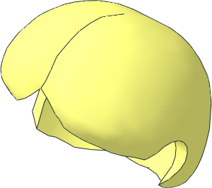 Maxifig Hair with Bun