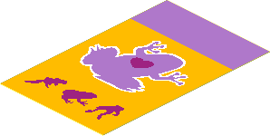 Sticker  2.6 x  1.6 with Biology Textbook with Frog and Heart