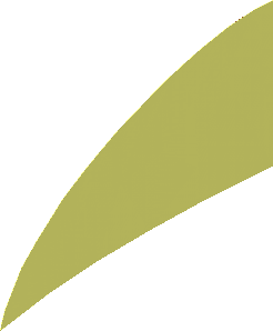 Sticker 3.6 x 8.0 Circle Section Right Front Orange Border, Light Bluish Grey, White Lines (Formed)