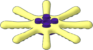 Animal Octopus Tentacles  8 x  8 with Medium Lilac Centre Pattern