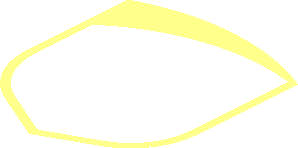 Logo UPS Outer Shield