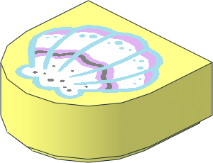 Tile  1 x  1 with Rounded End with White Clam Shell Pattern