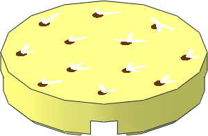 Tile  2 x  2 Round with White and Reddish Brown Cactus Needles Pattern