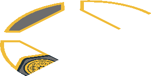 ~Electric Brick  4 x  4 x  0.667 Round - Top with  2 Studs with Gold Lotus on White Background Pattern - Half