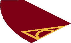 ~Electric Brick  4 x  4 x  0.667 Round - Top with  2 Studs with Deathly Hallows Symbol Pattern - Half