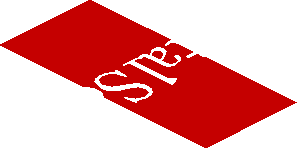 ~Sticker  0.8 x  1.9 with White CapitalSource Logo on Red Background Right - Fourth Face