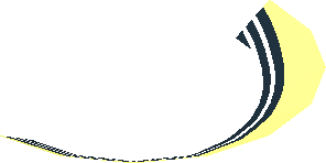 ~Dish  2 x  2 Black Nevermore Academy White Border Half Pattern