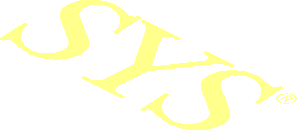 Logo Ansys Text - "Sys"