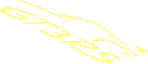 Logo Porsche GT3RS Silhouette