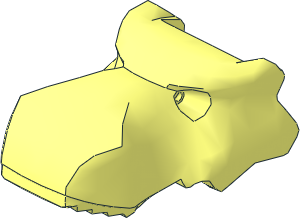 Animal Dinosaur Head Tyrannosaurus Rex