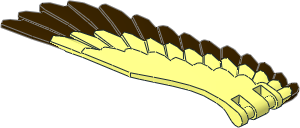 Animal Eagle Wing Right with Dark Brown Feathers Pattern